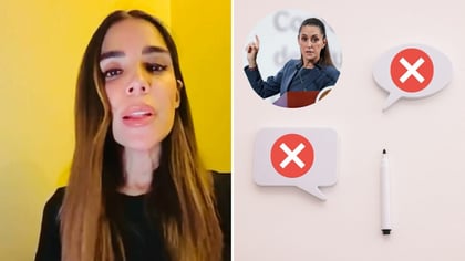 La diputada del PT Diana Karina Barreras Samaniego. (ARCHIVO/ESPECIAL)