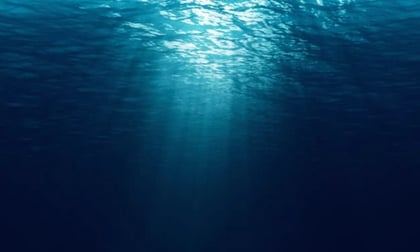 Descubren vida marina a casi 10 kilómetros de profundidad