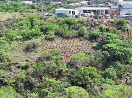 Peñoles impulsa la conciencia ambiental en sus comunidades vecinas