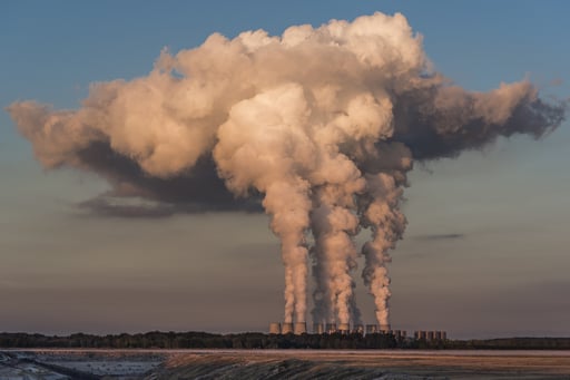 Imagen Los contaminantes atmosféricos ponen en jaque la polinización