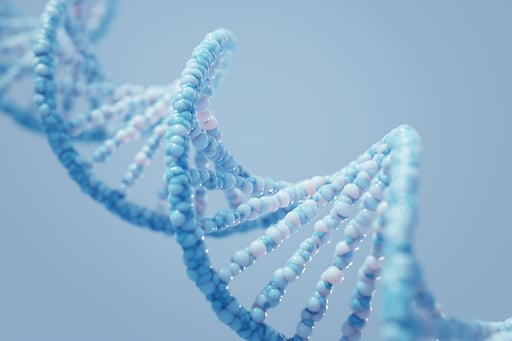 Imagen Un cambio en el código genético explicaría cómo los ancestros humanos perdieron la cola