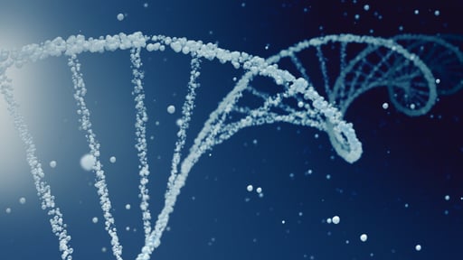Imagen Descubren las capacidades del ARN que permiten la evolución de la vida a escala molecular