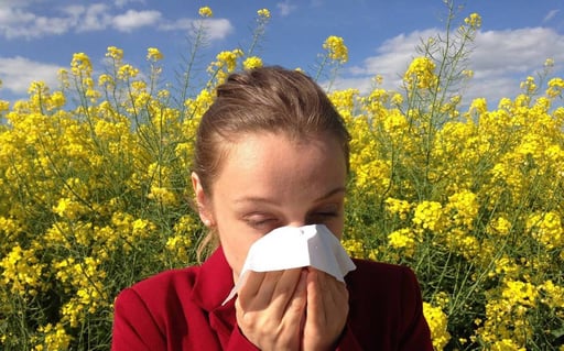 La alergia suele confundirse con una gripe o infección respiratoria. (AGENCIAS)