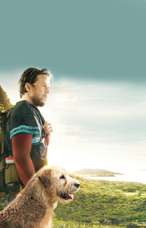 Film. La nueva película de Mark Wahlberg está inspirada en un evento real de valentía y lealtad de un can.