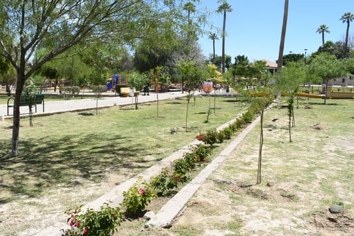 En la Alameda Zaragoza, el Ayuntamiento de Torreón ha plantado distintos árboles.