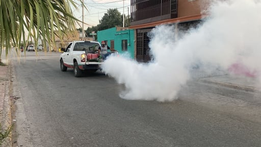 Imagen Continúan con fumigaciones contra el mosquito del dengue en colonias de San Pedro