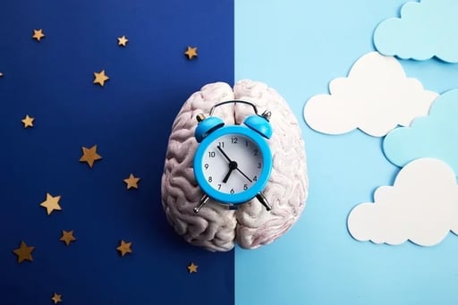 Imagen La sincronía del reloj circadiano central y el de los tejidos previene el envejecimiento