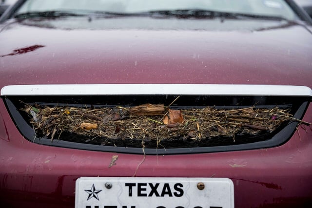 Lluvias históricas afectan Texas después de temporada de sequía