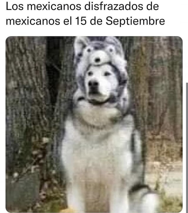 Reciben el 15 de septiembre con memes