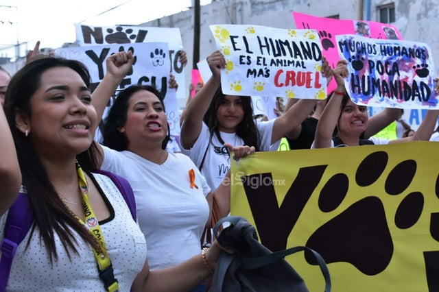 Protestan contra bomberos asesinos de perros en Monclova