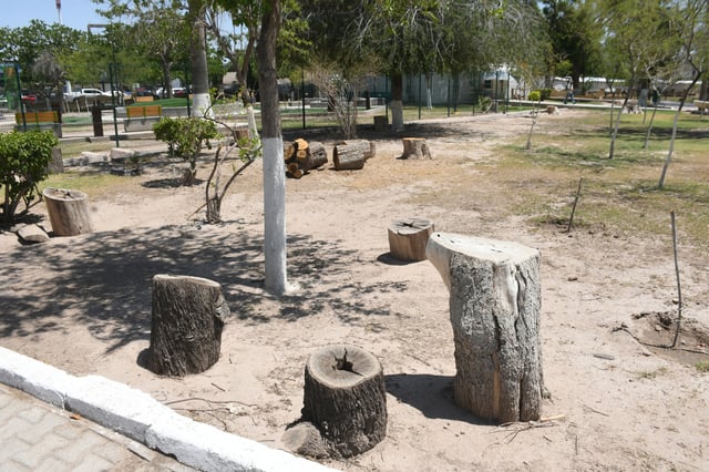 Troncos y tierra.

El descuido de este espacio público es evidente. Estos troncos alguna vez fueron árboles que dieron sombra a los paseantes y en lugar de tierra había pasto.