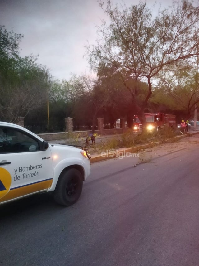 Fuertes ráfagas de viento dejan sin luz y afectaciones a sectores de Torreón