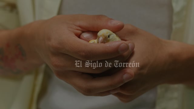 El lagunero Pato Rivera es el director y artífice de Un lugar en tierra prometida, cortometraje seleccionado en el Short Film Corner del Festival Internacional de Cine de Cannes, el cual se llevará a cabo del 13 al 24 de mayo próximos en la Riviera francesa.