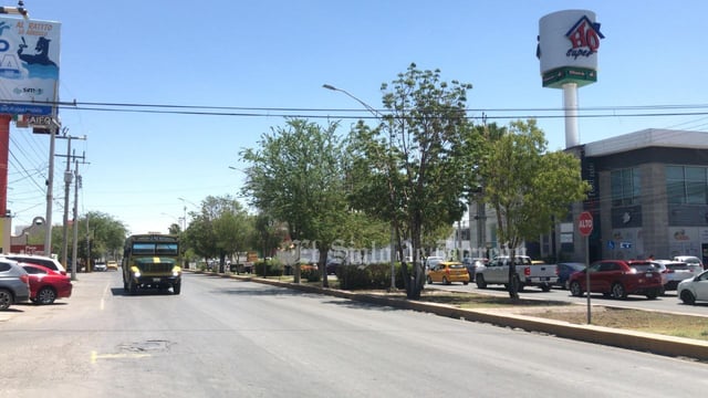 Evalúan árboles antes de ser retirados por obra del Sistema Vial Abastos Independencia Evalúan árboles antes de ser retirados por obra del Sistema Vial Abastos Independencia