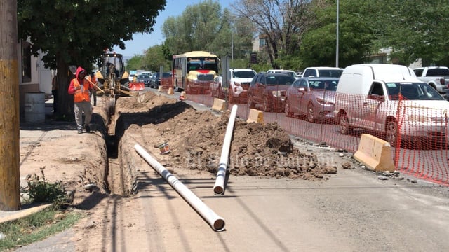 Esta mañana comenzaron a verse algunas labores de retiro de árboles que se localizan en el camellón del bulevar Independencia, para permitir la construcción del paso inferior vehicular del sistema vial Abastos-Independencia de esta ciudad.

De acuerdo con el diagnóstico de dependencias involucradas en la obra, son 47 árboles los que se van a talar, por lo que estas labores ya se llevan a cabo, sobre todo en el caso de los que ya están más dañados.