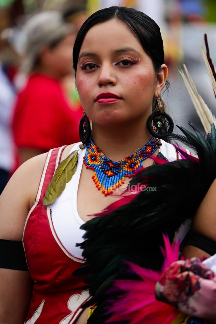 Danzas que acompañarán a peregrinos guadalupanos reciben bendición en  Torreón