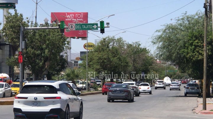Evalúan árboles antes de ser retirados por obra del Sistema Vial Abastos Independencia