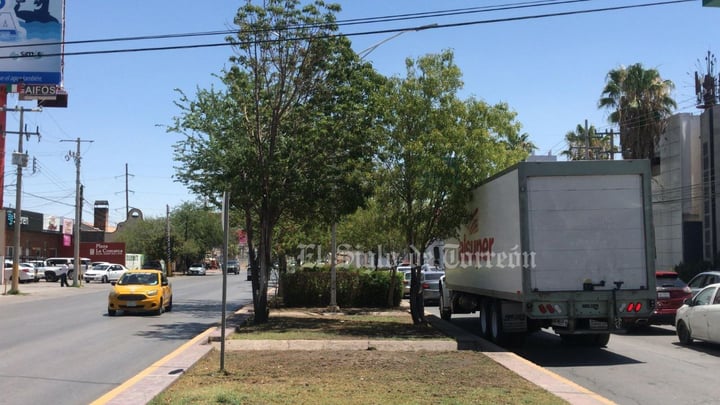Evalúan árboles antes de ser retirados por obra del Sistema Vial Abastos Independencia