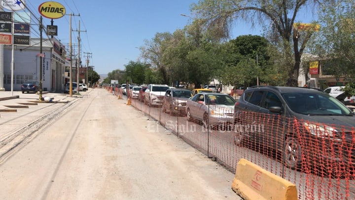 Inicia retiro de árboles para obra del Sistema Vial Abastos-Independencia