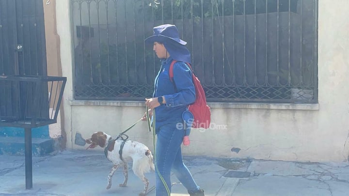Manchas, el primer perrito detector de fugas de agua en México