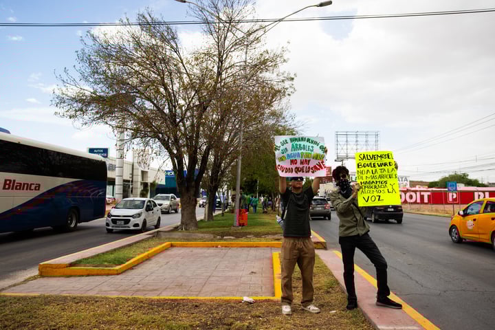 Detiene tala de árboles en el bulevar Independencia; revaluarán posible trasplante