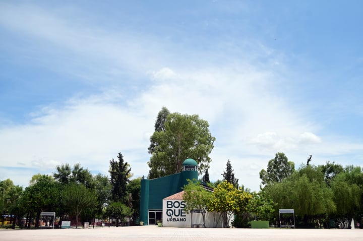 ¿Qué espacio público vas a redescubrir este verano? Torreón se pone guapo con áreas verdes acondicionadas para las familias
