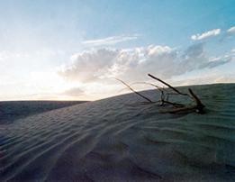 Dunas de Bilbao.