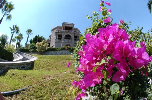 La Casa del Cerro