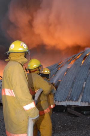 “Lo mejor de todo esto es que no hay vidas qué lamentar, lo material como quiera se repone... vamos a levantarnos y a seguir trabajando”, dijo optimista mientras bomberos, encargados de grúas, personal de Protección Civil y cuerpos policiacos se esforzaban por tratar que todo volviera a la normalidad.