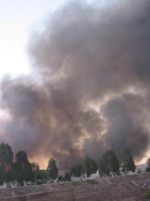 Al siniestro que inició alrededor de las 17:40 horas acudieron bomberos de Gómez Palacio, Ciudad Lerdo, Torreón, Francisco I. Madero y San Pedro de las Colonias, así como de las empresas Lala, Chilchota, Peñoles, Pemex y las que integran el Grupo de Apoyo Mutuo Empresarial.