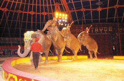 ¡El original, el único  Circo Atayde Hermanos! visitó  nuestra ciudad  mostrando un gran espectáculo sin igual en todo México.