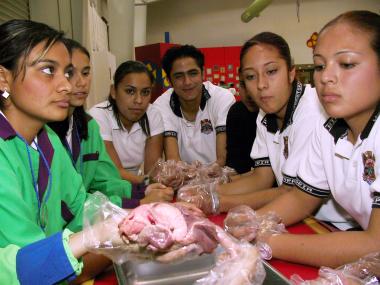 El único museo interactivo del país, que ha viajado por 17 estados de la República Mexicana, llega a esta ciudad transportando el mismo espíritu de “toca, juega y aprende” mediante el cual se logra que los niños se eduquen basados en la experiencia y vivencias directas, adquiriendo conocimientos sustentados en la explicación y comprensión de las cosas mediante 113 talleres creativos.