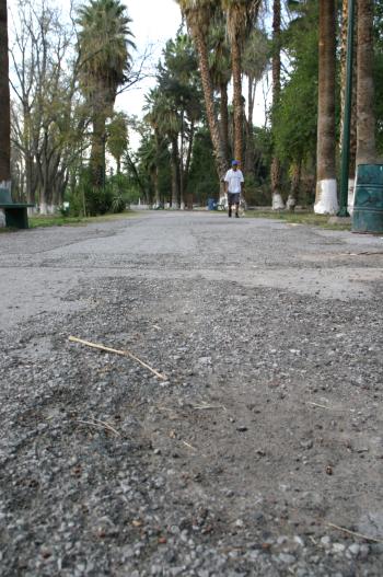 El Bosque Venustiano Carranza fue construido durante la administración del Gral. Pedro V. Rodríguez Triana, ex gobernador de Coahuila de 1936 a 1940, quien el seis de diciembre de ese último año lo entregó al municipio de Torreón, sin embargo el apoyo de las diferentes administraciones locales ha sido a “cuentagotas”.  La falta de agua es una de sus principales carencias, prueba de ello es que varios árboles se han secado y sus jardines están cenizos. La noria con que cuenta dejó de funcionar hace tres años, sin que hasta el momento haya sido reactivada.