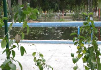 A este tradicional paseo público acude diariamente una gran cantidad de personas a correr y a realizar aerobics, con el fin de mejorar su condición física. Los deportistas pueden practicar basquetbol, frontón, futbol rápido y voleibol, ya que el bosque cuenta con varias canchas, cuyas condiciones actuales no son las adecuadas y representan un riesgo.