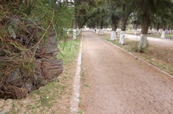 El Bosque Venustiano Carranza, principal pulmón de la ciudad, acaba de estrenar barda perimetral y alumbrado externo, pero las autoridades municipales han olvidado darle cuando menos “una manita de gato” al interior.