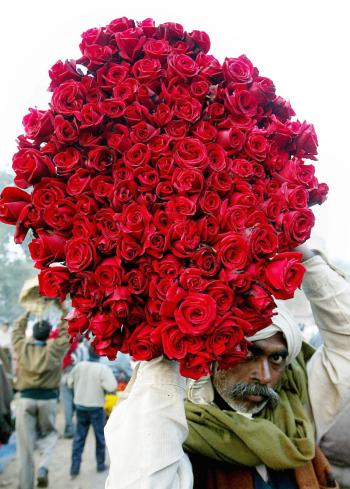 Día del Amor y la Amistad en India.