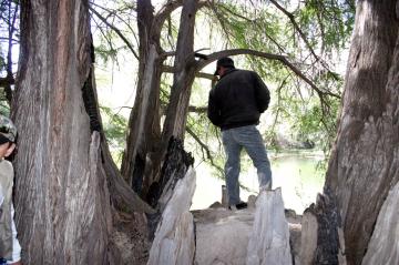 En la Comarca Lagunera están constituidas asociaciones que se encargan de  proteger las reservas naturales, como la Flor de Jimulco y la biodiversidad de animales y plantas.