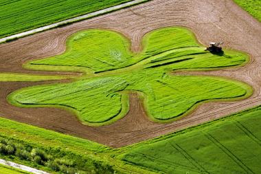 Un agricultor siega un campo en el que se ha dibujado un trébol de cuatro hojas cerca de Fráncfort (Alemania) .