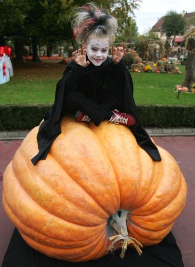 Anna, una niña de seis años fue captada sobre una calabaza gigante en el europark al sur de Alemania.
La calabaza pesa cerca de 418 kg y mide 423 cms de diámetro  y es una de las calabazas más grandes registradas en el 2005 en Europa.