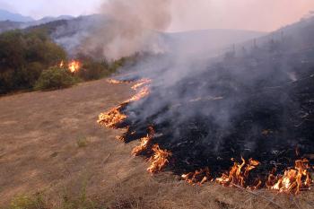 Las evacuaciones forzosas de residentes del área siguen en aumento y las autoridades han pedido a los habitantes de las zonas cercanas al fuego que estén preparados para abandonar sus hogares si fuera necesario.