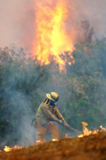 'Es difícil la lucha cuando hay tanta maleza seca. Hay poco que se puede hacer para detener (el incendio)', afirmó Paul Shakstad, portavoz del departamento de bomberos de Los Ángeles, en declaraciones por televisión.