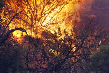 Tan sólo un cinco por ciento del área afectada por el incendio está bajo control, a pesar de que se esperaba que el fuego perdiera fuerza.