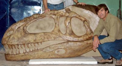 El paleontólogo argentino Rodolfo Coria, posa junto a uno de sus hallazgos: el cráneo de una especie de dinosaurio llamado Mapusaurus Roseae; y que llegaba a los doce metros de largo y las seis toneladas de peso.
Los grandes dinosaurios carnívoros que poblaron el planeta hace 90 millones de años pudieron haber vivido en manadas y no en solitario, como se creía hasta ahora, según un descubrimiento divulgado en Argentina.