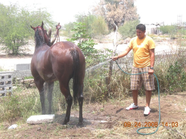 Vicente en la competencia Dgo.