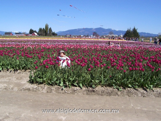 Nick López en Mt Vernon, Wa. En la fiesta de los tulipanes.