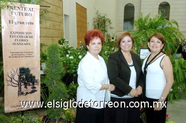 11052008
Elvira de Arredondo, Marisa de Morales y Pilar de Miñarro, miembros del comité organizador del evento.