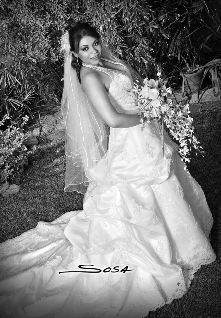 Srita. Sirius Adriana González Valverde el día de su boda con el Sr. José Luis González Ortega.

Studio Sosa