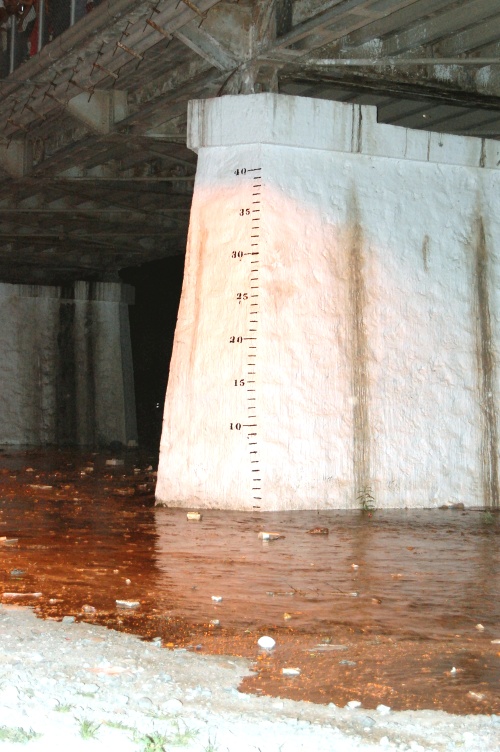 32 horas desde que fue liberada, el agua pasó abajo del puente plateado ante el júbilo de los laguneros, muchos de ellos que lo veían por primera vez.