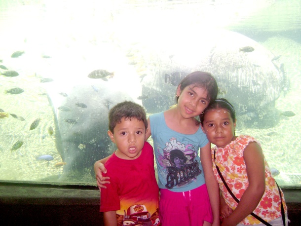 Julio y Cielo Alonso en compañía de Andrea Garcia en el zoológico de San Antonio Texas