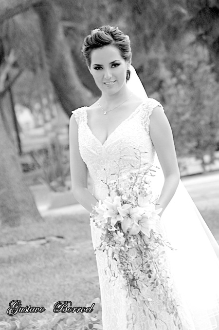 Lic. Selene Anguiano González, el día de su enlace nupcial con el Ing. Jorge del Bosque Alba.


Gustavo Borroel Fotografía  